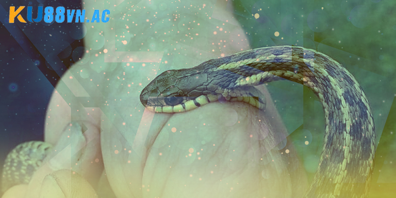 Nằm Mơ Thấy Rắn Hổ Mang Cắn Vào Tay Đánh Con Gì Ku88 4 Giải thích việc nằm mơ thấy rắn hổ mang cắn vào tay đánh con gì