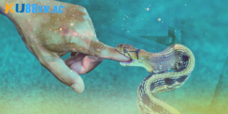 Nằm Mơ Thấy Rắn Hổ Mang Cắn Vào Tay Đánh Con Gì Ku88 2 Sơ lược về việc nằm mơ thấy rắn hổ mang cắn vào tay đánh con gì