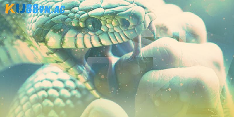 Nằm Mơ Thấy Rắn Hổ Mang Cắn Vào Tay Đánh Con Gì Ku88 5 Tiếp cận việc nằm mơ thấy rắn hổ mang cắn vào tay đánh con gì Ku88