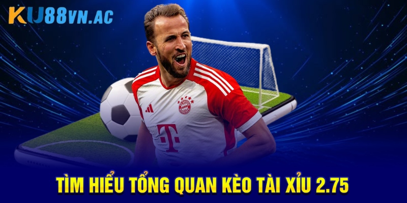 Kèo Tài Xỉu 2.75 Là Gì? Giải Thích Chi Tiết Và Hiệu Quả 2 Tìm hiểu tổng quan kèo tài xỉu 2.75