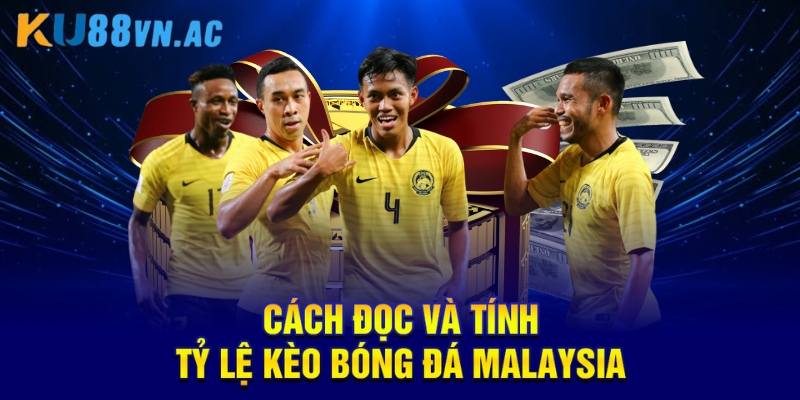 Tỷ Lệ Kèo Bóng Đá Malaysia Và Cách Đặt Cược Hiệu Quả 3 Cách đọc và tính tỷ lệ kèo bóng đá malaysia