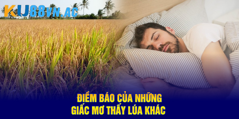 Ngủ Mơ Thấy Lúa Báo Điềm Gì? Nên Đánh Con Số May Mắn Nào?