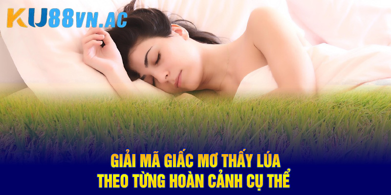 Giải mã giấc mơ thấy lúa theo từng hoàn cảnh cụ thể 