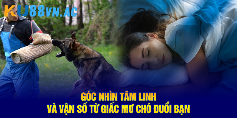 Mơ Thấy Chó Đuổi Theo Mình - Cảnh Báo Những Điều Sắp Xảy Ra