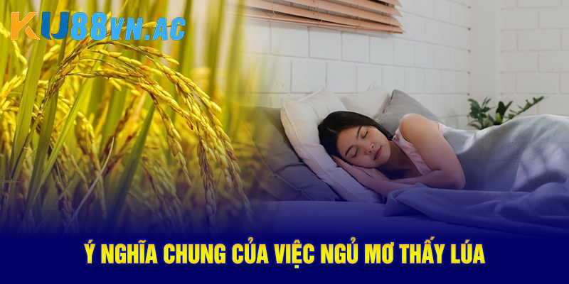 Ý nghĩa chung của việc ngủ mơ thấy lúa 